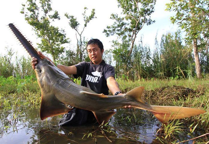 情熱大陸『怪魚ハンター 小塚拓矢』: 釣具屋な毎日 -いのまた釣具店Blog-