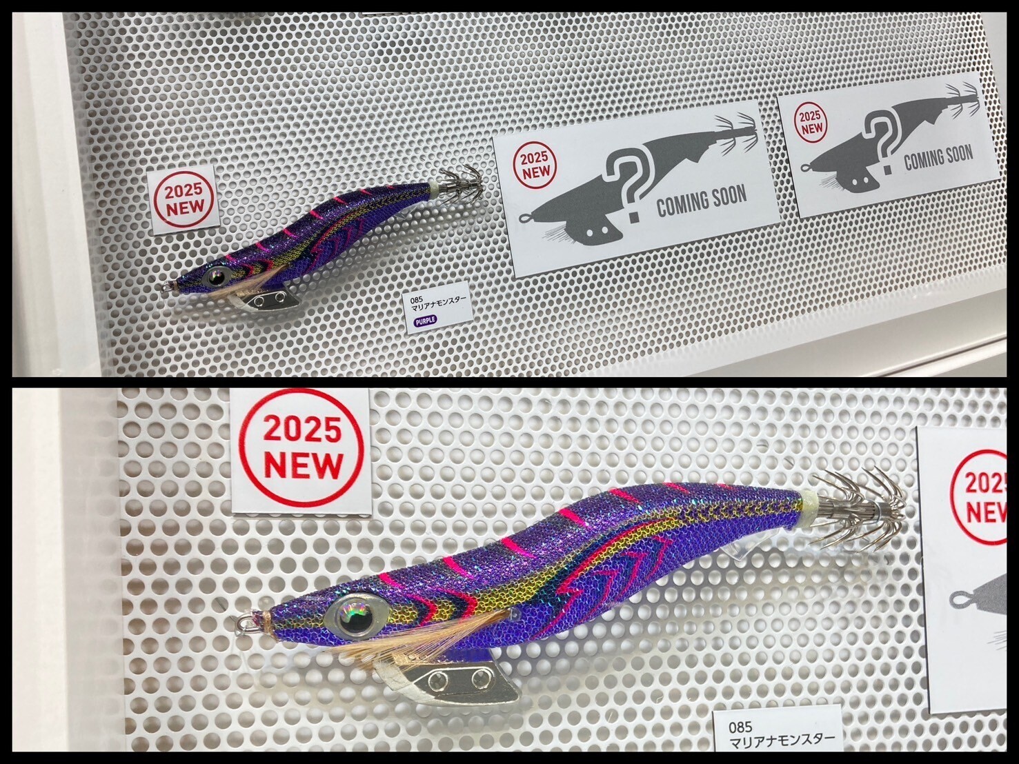 釣りフェス2025」 横浜フィッシングショー 烏賊編: 釣具屋な毎日